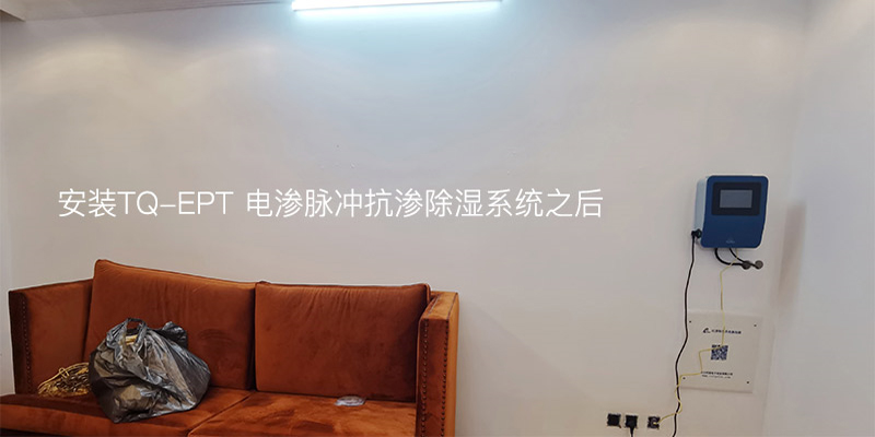 港澳六台资料大全