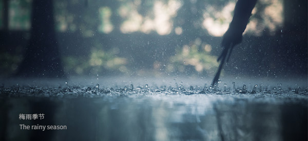 梅雨季节到了，您家的别墅地下室做了防潮处理吗？